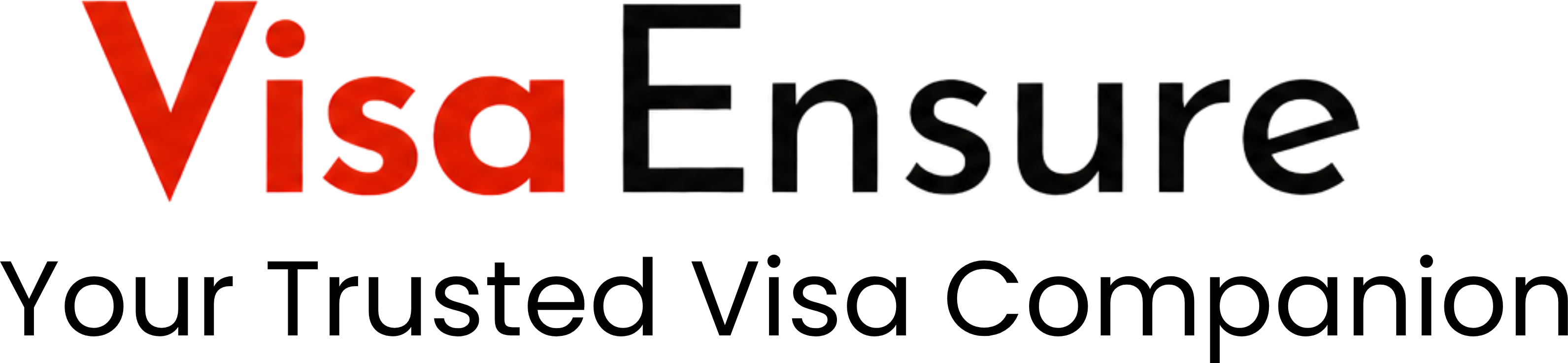 VisaEnsure Wordmark
